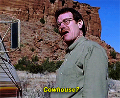 Breaking Bad GIF. Films en series Breaking bad Gifs Aaron paul Jesse pinkman Betsy brandt Hondsdolle hond 