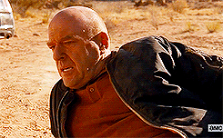 Films en series Breaking bad Gifs Malcom in het midden bryan crantson 