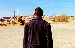 Breaking Bad GIF. Films en series Breaking bad Marie Gifs Griep Lelijke schreeuw Hou van haar 