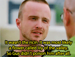 Breaking Bad GIF. Films en series Breaking bad Vechten Gifs Jesse pinkman Breken slechte nieuwe Saul 