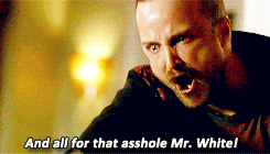 Breaking Bad GIF. Films en series Breaking bad Marie Gifs Betsy brandt Hondsdolle hond Bruce mckenzie 