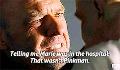 Breaking Bad GIF. Films en series Breaking bad Gifs Aaron paul Jesse pinkman Betsy brandt Hondsdolle hond 