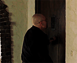 Breaking Bad GIF. Films en series Breaking bad Lydia Gifs Glimlach Knik Maskeren 