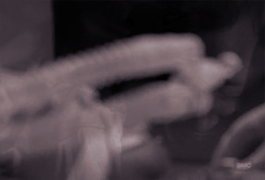 Breaking Bad GIF. Films en series Breaking bad Gifs Aaron paul Jesse pinkman Betsy brandt Hondsdolle hond 