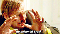 Breaking Bad GIF. Films en series Breaking bad Gifs Aaron paul Hondsdolle hond 
