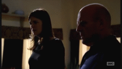 Breaking Bad GIF. Films en series Breaking bad Gifs Tohajiilee Walter white Hank schrader Jesse pinkman 