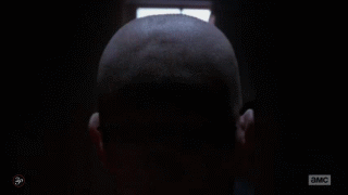 Films en series Breaking bad Gifs Aaron Paul jesse pinkman betsy brandt hondsdolle hond 