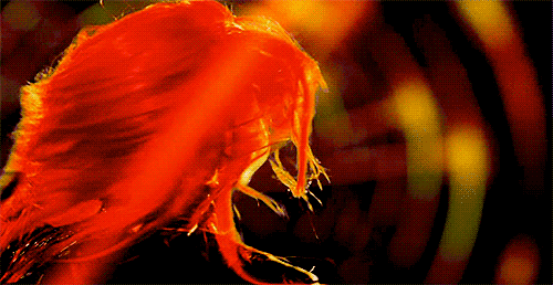 Muziek Artiesten Britney spears Britney William Gifs 2012 scream and shout gillen amp schreeuw 