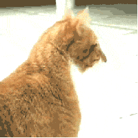 Britney Spears GIF. Applaus Artiesten Britney spears Gifs Glimlachen Klappen Xfactor 