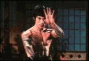 Bruce Lee GIF. Gifs Filmsterren Bruce lee Geweest triller Wisenyc 