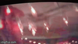 Bryan Cranston GIF. Gifs Filmsterren Bryan cranston 2014 Godzilla Trailer 
