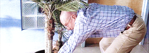 Breaking Bad GIF. Films en series Breaking bad Gifs Filmsterren Bryan cranston 90s 1990 