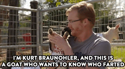 Dieren Lol Gifs Hond kip hond huis molesteert 