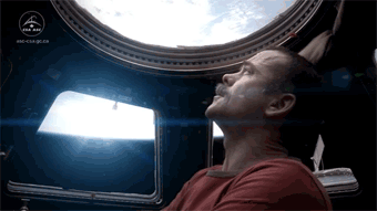 Artiesten Ruimte Gifs David bowie nasa space oddity Chris Hadfield chris bowie iss 