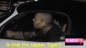 Chris Brown GIF. Interview Artiesten Gifs Chris brown Mijn shit 