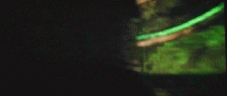 Chris Hemsworth GIF. Kristen stewart Gifs Filmsterren Chris hemsworth Schemering Rij 