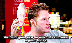 Chris Pratt GIF. Televisie Tv Gifs Filmsterren Chris pratt 4 Parks and recreation 