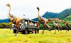 Amy Poehler GIF. Grappig Tv Gifs Filmsterren Amy poehler Chris pratt Parks and recreation Leslie knope Andy dwyer Naa 