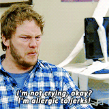 Chris Pratt GIF. Televisie Tv Gifs Filmsterren Chris pratt 4 Parks and recreation 