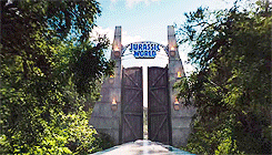 Chris Pratt GIF. Beroemdheden Tv Gifs Filmsterren Chris pratt Parks and recreation 