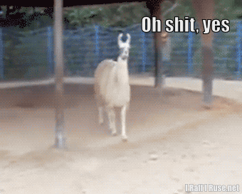 Chris Pratt GIF. Gifs Filmsterren Chris pratt Everwood Heldere abbott Everwood 2x09 