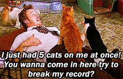 Chris Pratt GIF. Televisie Gifs Filmsterren Chris pratt Parks and recreation Andy dwyer 