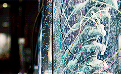 Chris Pratt GIF. Televisie Gifs Filmsterren Chris pratt Parks and recreation Andy dwyer 