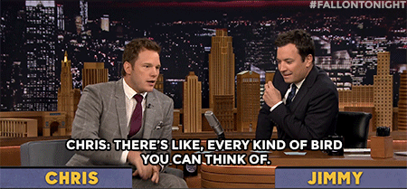 Chris Pratt GIF. Guardians of the galaxy Gifs Filmsterren Chris pratt Parks and recreation Parken rec 