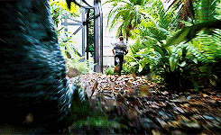 Chris Pratt GIF. Wow Gifs Filmsterren Chris pratt Geschokt Woah Plotselinge besef Parks and recreation Andy dwyer 