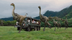 Chris Pratt GIF. Bang Tv Gifs Filmsterren Chris pratt Gelukkig Parks and recreation Schreeuwend Andy dwyer 