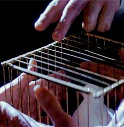 Christian Bale GIF. Gifs Filmsterren Christian bale Hugh jackman The prestige 