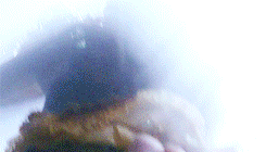 Christian Bale GIF. Gifs Filmsterren Christian bale Batman begins 