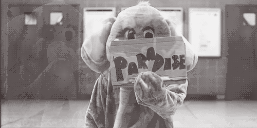 Artiesten Coldplay Gifs coldplay is 