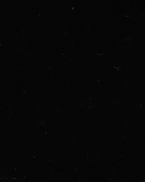 Artiesten Coldplay Gifs boog 