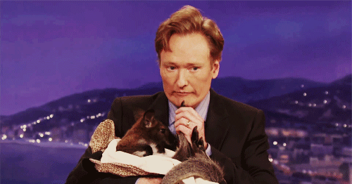 Conan Obrien GIF. Gifs Filmsterren Conan obrien 