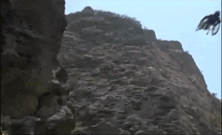 Conan Obrien GIF. Gifs Filmsterren Conan obrien 