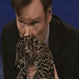 Conan Obrien GIF. Gifs Filmsterren Conan obrien 