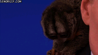 Conan Obrien GIF. Gifs Filmsterren Conan obrien 