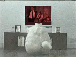 Conan Obrien GIF. Gifs Filmsterren Conan obrien 