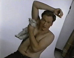 Conan Obrien GIF. Gifs Filmsterren Conan obrien Conan Kittens 