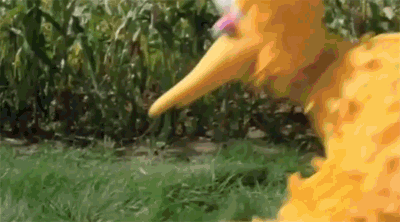 Conan Obrien GIF. Gifs Filmsterren Conan obrien 