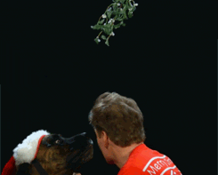 Conan Obrien GIF. Gifs Filmsterren Conan obrien 