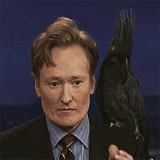 Conan Obrien GIF. Gifs Filmsterren Conan obrien 