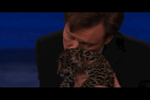 Conan Obrien GIF. Beroemdheden Tv Gifs Filmsterren Conan obrien Ryan gosling Pak Schreeuwend 