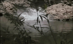 Conan Obrien GIF. Gifs Filmsterren Conan obrien 