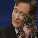 Conan Obrien GIF. Gifs Filmsterren Conan obrien 
