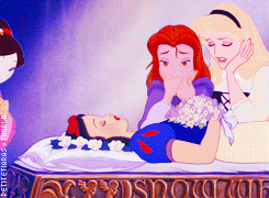 Koe GIF. Dieren Koe Gifs 