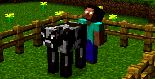 Dieren Games Koe Minecraft Gifs Herobrine 