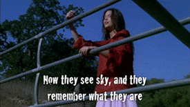 Koe GIF. Dieren Ufo Koe Gifs Vreemdelingen 