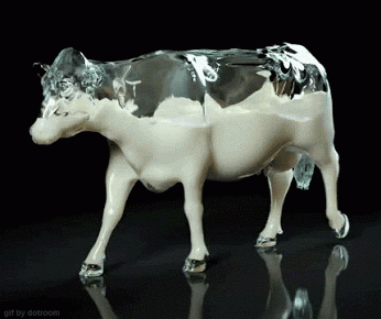 Dieren Koe Gifs vrij zeker zoals binnenzijde 